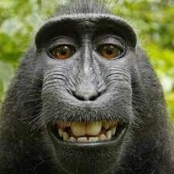 ChaosTheMonke