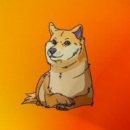 Disco Doge