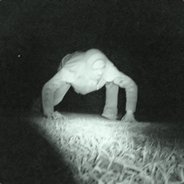 K1NGP1N