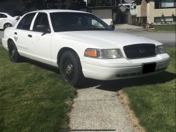 Scabby The Crown Vic
