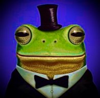 SiR Froggo III