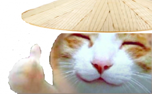 AnAsianCat