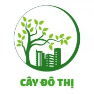 caydothi