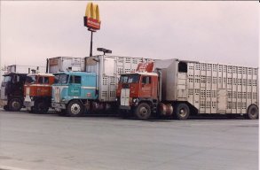 COEtrucksrock