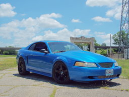 BcuzMustang