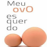 Ovo esquerdo