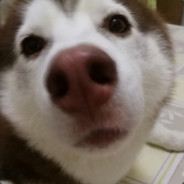 cocobean02