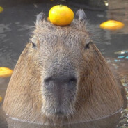 CapyBarra