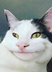 im a person