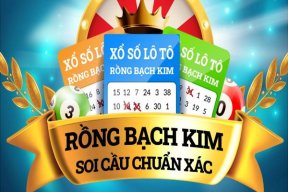 scrongbachkimscldc