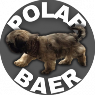 polar_baer