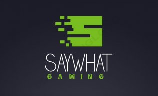 Notsaywhatgaming