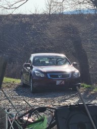Hondaguy