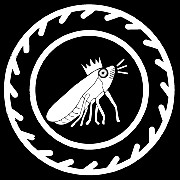 SPittlebug