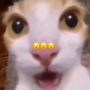 zxcrocell
