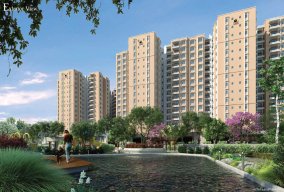 Provident Ecopolitan