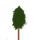 A sentient fir tree