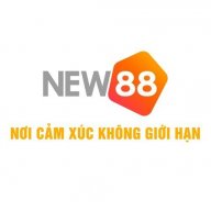 new88net
