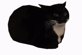 jefferson.t.cat