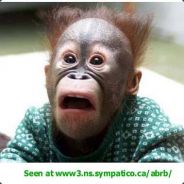 Death_Monkey