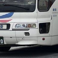 まとしか