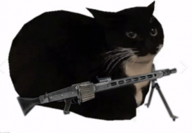 Maxwell security >:(