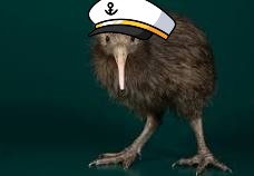 captain kiwi