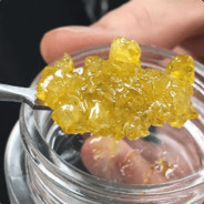 DabNation253