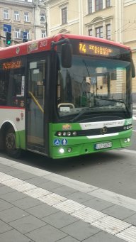 Tosik