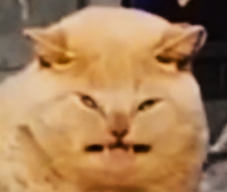 MisterShadow001