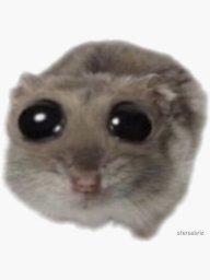 vibeypingu