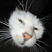 Tom Fool