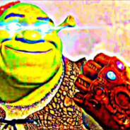 TheSillyShithead