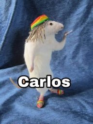 barts3o