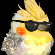 Theobald the Bird