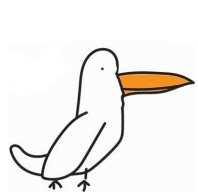 Seabird