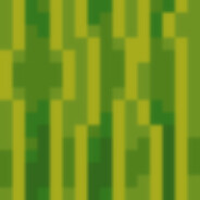 mm11