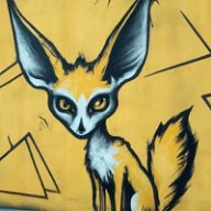 CopperTFox