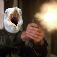 StevenSeagull