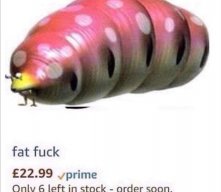 screamingecko1734