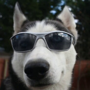 TheCoolDoggo
