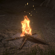 bond fire