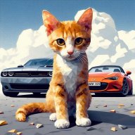Catwholikescars