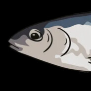 Sardines