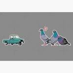 PigeonLover23