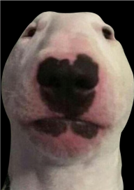 goobernut56