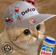DefcoTheOne