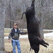 Hog Hunter