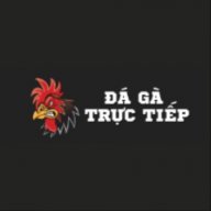 dagatructiep247tv