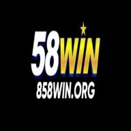 858winorg1